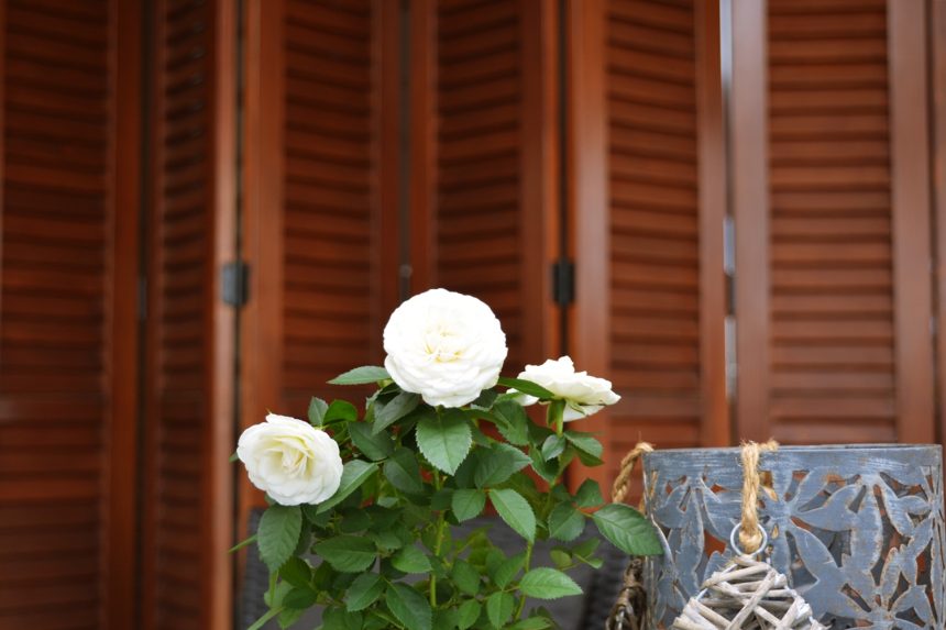 Km vanjska stolarija za vrtove i terese